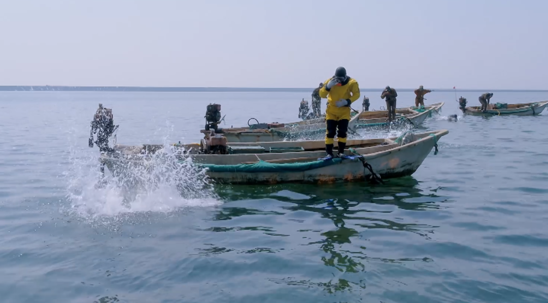 4.20 8.png 4.20 8.png